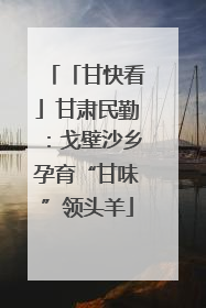 「甘快看」甘肃民勤：戈壁沙乡孕育“甘味”领头羊