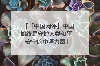 「中国网评」中国始终是守护人类和平安宁的中坚力量
