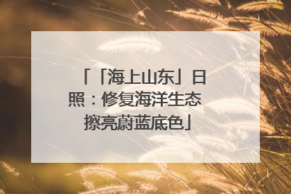 「海上山东」日照：修复海洋生态 擦亮蔚蓝底色