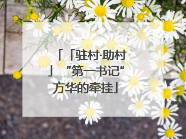 「驻村·助村」“第一书记”方华的牵挂