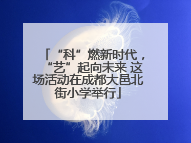 “科”燃新时代，“艺”起向未来 这场活动在成都大邑北街小学举行