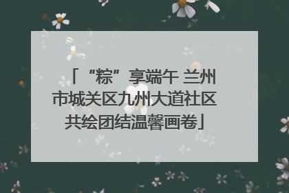 “粽”享端午 兰州市城关区九州大道社区共绘团结温馨画卷