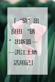 “缝”出良田 “锈”出新景——洪江土地活用记