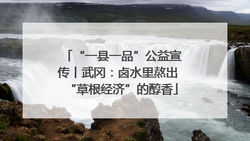 “一县一品”公益宣传丨武冈：卤水里熬出“草根经济”的醇香