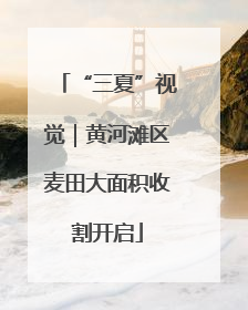 “三夏”视觉｜黄河滩区麦田大面积收割开启