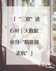 “三夏”进行时｜大数据化身“精准割麦机”