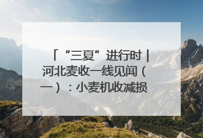 “三夏”进行时｜河北麦收一线见闻（一）：小麦机收减损“竞技” 农机高手麦田“过招”