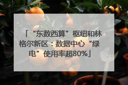 “东数西算”枢纽和林格尔新区：数据中心“绿电”使用率超80%