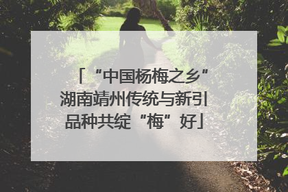 “中国杨梅之乡”湖南靖州传统与新引品种共绽“梅”好