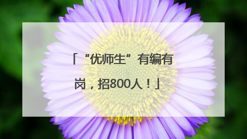 “优师生”有编有岗，招800人！