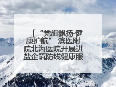 “党旗飘扬·健康护航” 滨医附院北海医院开展进盐企筑防线健康服务行动