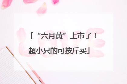 “六月黄”上市了！超小只的可按斤买