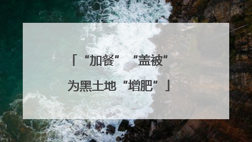 “加餐”“盖被” 为黑土地“增肥”
