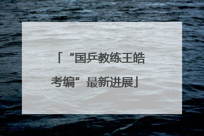 “国乒教练王皓考编”最新进展