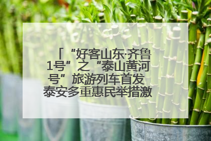 “好客山东·齐鲁1号”之“泰山黄河号”旅游列车首发 泰安多重惠民举措激活文旅消费新动能