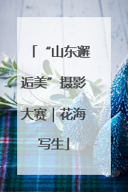 “山东邂逅美”摄影大赛｜花海写生