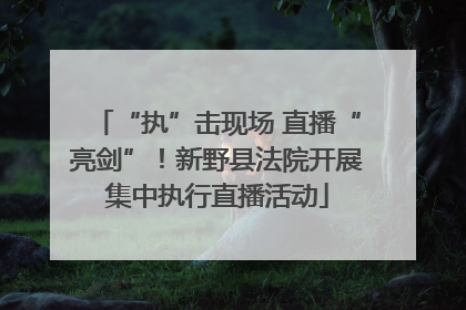 “执”击现场 直播“亮剑”！新野县法院开展集中执行直播活动