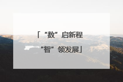 “数”启新程 “智”领发展