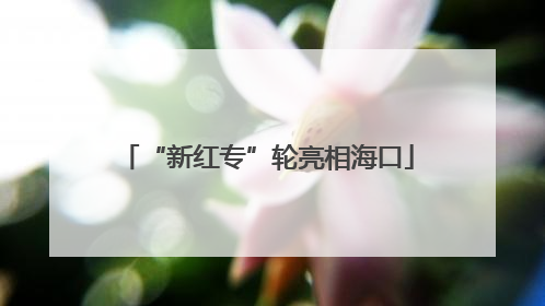 “新红专”轮亮相海口