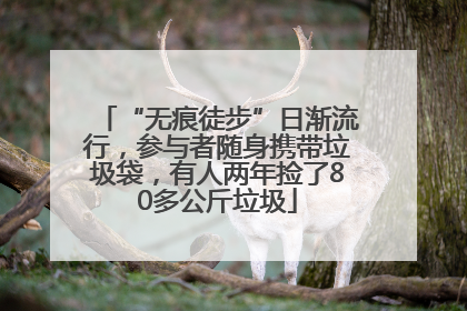 “无痕徒步”日渐流行，参与者随身携带垃圾袋，有人两年捡了80多公斤垃圾