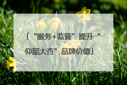“服务+监管”提升“仰韶大杏”品牌价值