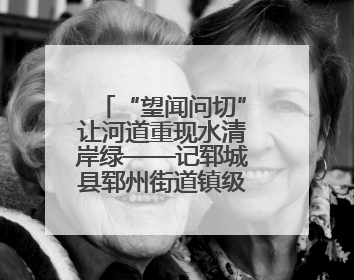 “望闻问切”让河道重现水清岸绿——记郓城县郓州街道镇级河长孟泓辰