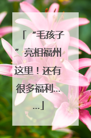 “毛孩子”亮相福州这里！还有很多福利……