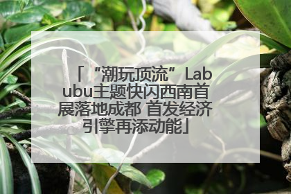 “潮玩顶流”Labubu主题快闪西南首展落地成都 首发经济引擎再添动能