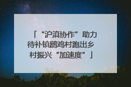 “沪滇协作”助力待补镇鹧鸡村跑出乡村振兴“加速度”