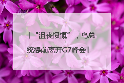 “沮丧愤慨”，乌总统提前离开G7峰会
