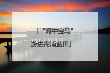 “海中宝马”游进霞浦盐田