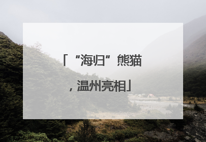 “海归”熊猫，温州亮相