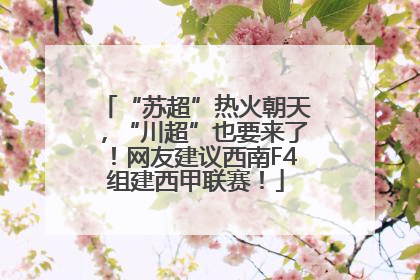 “苏超”热火朝天，“川超”也要来了！网友建议西南F4组建西甲联赛！