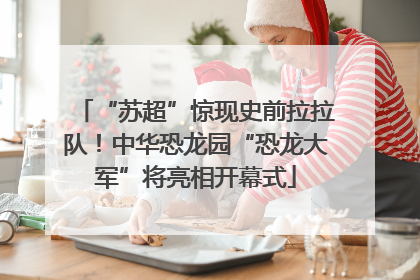 “苏超”惊现史前拉拉队！中华恐龙园“恐龙大军”将亮相开幕式