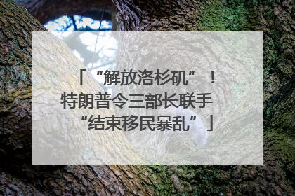 “解放洛杉矶”！特朗普令三部长联手“结束移民暴乱”
