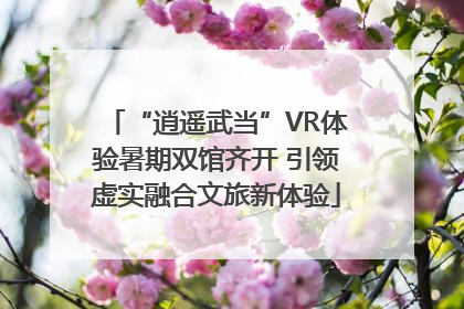 “逍遥武当”VR体验暑期双馆齐开 引领虚实融合文旅新体验