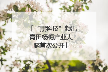 “黑科技”频出 青田杨梅产业大脑首次公开