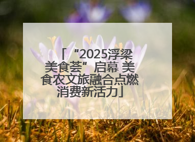“2025浮梁美食荟”启幕 美食农文旅融合点燃消费新活力