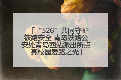 “526”共同守护铁路安全 青岛铁路公安处青岛西站派出所点亮校园爱路之光