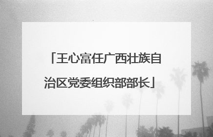 王心富任广西壮族自治区党委组织部部长