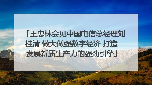 王忠林会见中国电信总经理刘桂清 做大做强数字经济 打造发展新质生产力的强劲引擎