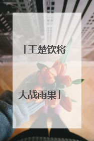 王楚钦将大战雨果