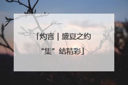 灼言｜盛夏之约 “集”结精彩