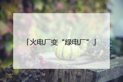 火电厂变“绿电厂”
