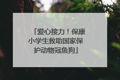 爱心接力！保康小学生救助国家保护动物冠鱼狗