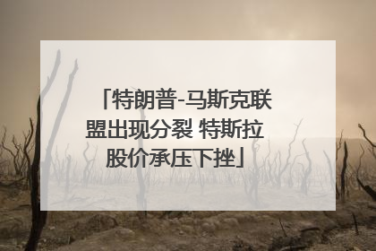 特朗普-马斯克联盟出现分裂 特斯拉股价承压下挫