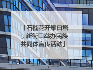 石榴花开耀白塔，新街口举办民族共同体宣传活动