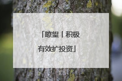 瞭望丨积极有效扩投资