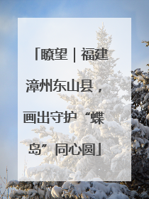 瞭望｜福建漳州东山县，画出守护“蝶岛”同心圆