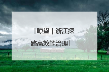 瞭望｜浙江探路高效能治理